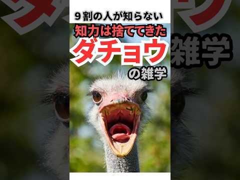 知力は捨てた‼︎最強の鳥ダチョウの雑学　#Shorts 短い達人の教え #トリビア  #1分雑学 #動物