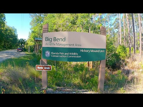 Big Bend WMA Hickory Mound Unit