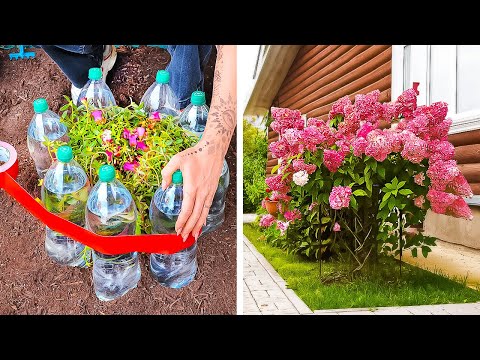 Gardening Hacks: Planting Techniques and Plastic Bottle Ideas for Plants 🍀