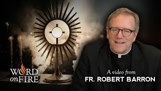 Bishop Barron comments on Eucharistic Adoration