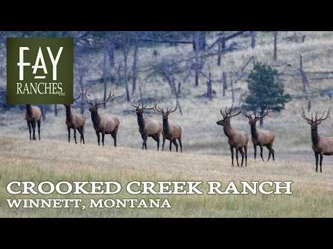 Montana Elk Hunting Property For Sale | Crooked Creek Ranch | Winnett, MT