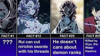 Interesting Facts About Rui You Might Not Know I The AnimeScript