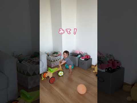 1歳児、歩く練習中