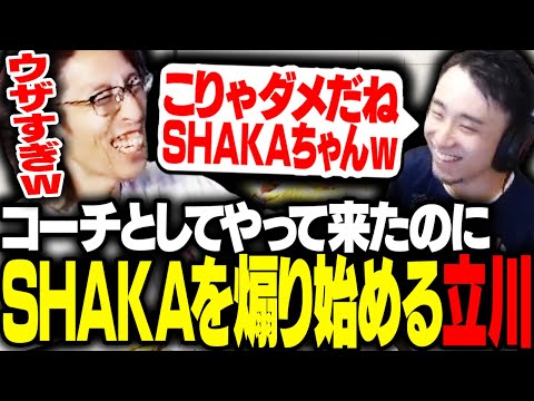 CRカップのコーチ立川に練習中煽られるSHAKA【ストリートファイター6】