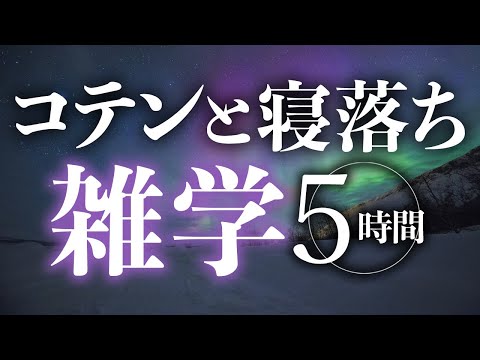 【睡眠導入】コテンと寝落ち雑学5時間【合成音声】