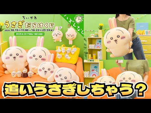 【くじ引き】ちいかわ うさぎだらけくじにチャレンジ！！昨日に引き続き今日もチャレンジ！！