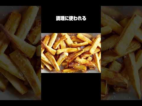 ケニアのヤバいフライ料理 #shorts #雑学