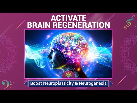 Activate Brain Regeneration | Boost Neuroplasticity & Neurogenesis | Grow New Brain Neurons | 528 Hz