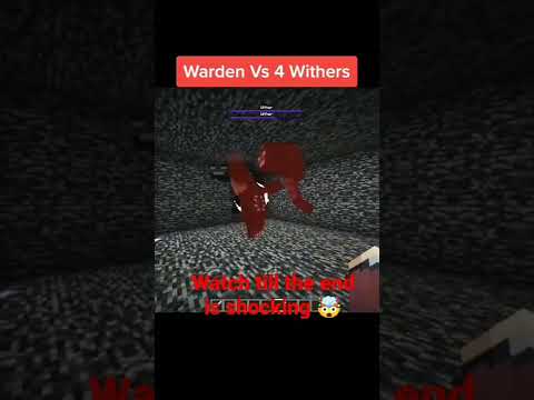 Warden vs 4 Withers (ending is shocking 🤯)