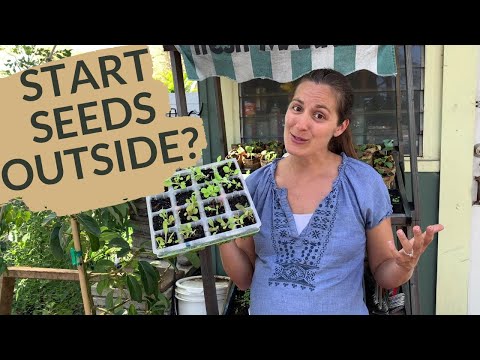 Indoors vs Outdoors for Starting Seeds