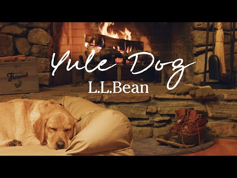 L.L.Bean Yule Dog | 1 Hour 4K Real Burning Fireplace | Cozy Holiday Background Vibes