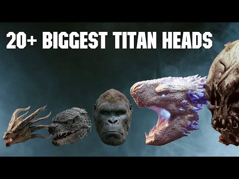 Monsterverse Titans Biggest Head SIZE COMPARISON 2024