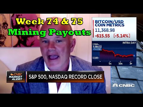 Week 74 & 75 | Mining Payouts 9/20/20