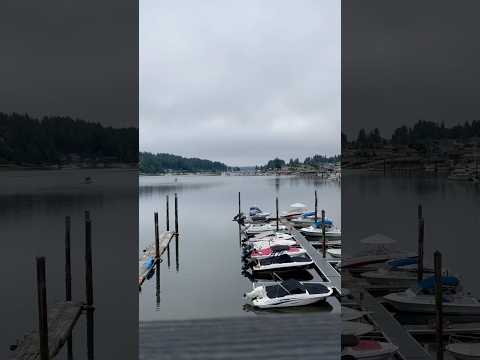 Stunning Waterfront Views at Devoted Kiss Café 🌅 | Gig Harbor RV Getaway 🌲🚐"