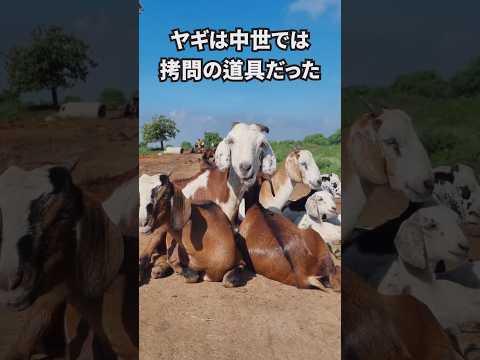 生き物の不思議に関する面白い雑学　#shorts #雑学 #トリビア