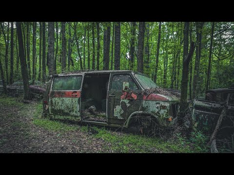 Car Graveyard Exploration in the Woods