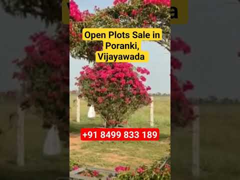 Open Plots for Sale in Poranki | Vijayawada | Real Estate |