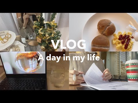 【VLOG】大学生の日常/ゼミの準備/カフェで勉強/のんびり過ごす日/ホリデーシーズン/