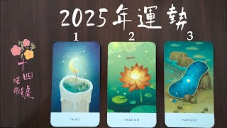 塔羅占卜: 2025年一整年的運勢狀況如何？重點訊息提點(事業運/財運/桃花運)