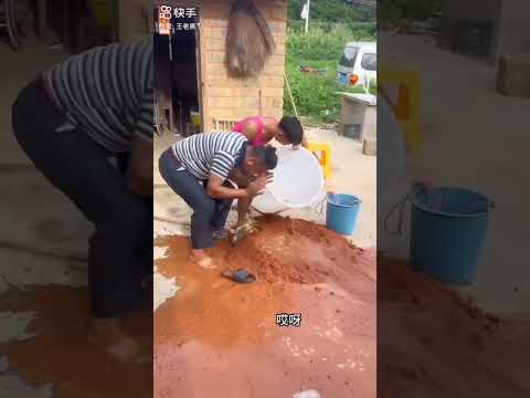 #viral #funny #shortvideo #shorts #viral