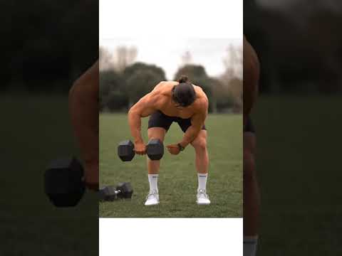 Back Workout [ Limited Equipment ]