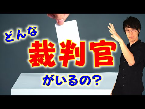 【まとめ】国民審査2021！裁判官１１人全員を一本の動画にまとめた！