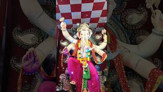 Ganapati Bappa Morya #ganeshutsav2024 #shorts