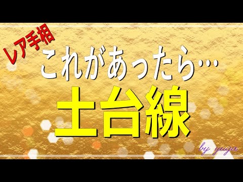 【手相】あったら凄い～土台線とは？最強手相に迫る【有雅】