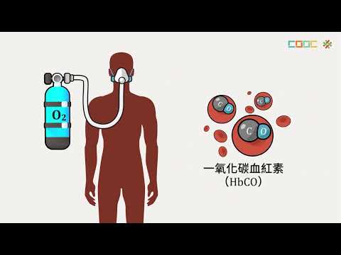 108新課綱｜高三化學｜【觀念】生物體中的錯合物與錯合物的應用