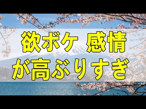 テレフォン人生相談🌻  欲ボケ 感情が高ぶりすぎる老婆