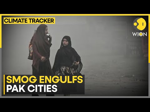 Pakistan Pollution: Is The Pakistan Government Doing Enough? | WION Climate Tracker