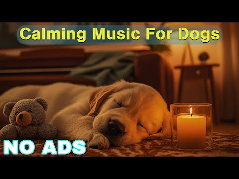 12 HOURS of Relaxing Music For Dogs💖🐶Anti Separation Anxiety Relief🐶💖Pet music🎵 Deep Sleep🐶