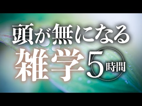 【睡眠導入】頭が無になる雑学5時間【合成音声】