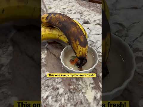 The perfect banana #kitchentips #fails #banana