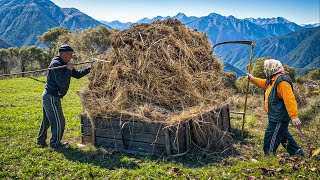 Village  Life in the Mountains! Hay Harvesting and Dinner Preparation. Happy Old Age.