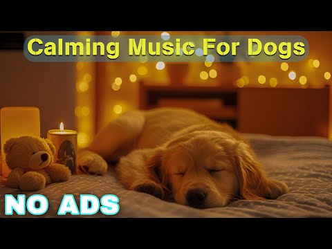 12 Hours of Healing Music for Dogs 🦮 Dog Relaxing Music for Stress Relief 🐶 Dog Anxiety Music💖No Ads