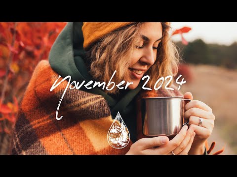 Indie/Pop/Folk Compilation - November 2024 (2½-Hour Playlist)