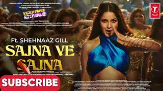 sajna ve sajna #sajnavesajna #shehnazgill #foryou #foryoupage #viralvideo #sajna_ #newhitsong #dance