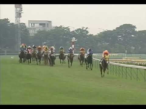 ジャングルポケット 2001年 第68回東京優駿(日本ダービー)(GI) (優勝馬：ジャングルポケット) (実況：ラジオたんぱ)