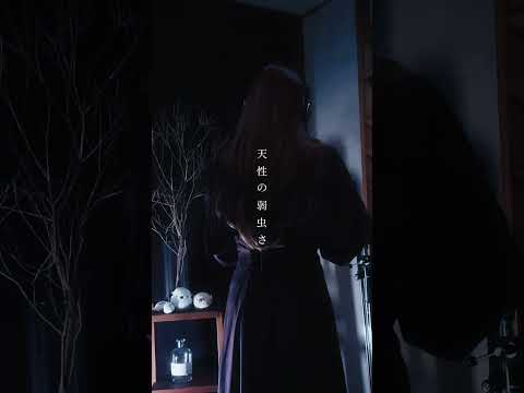 珀 - 天ノ弱(cover)