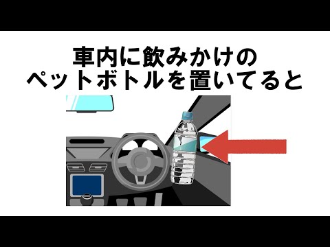 いつか為になる雑学