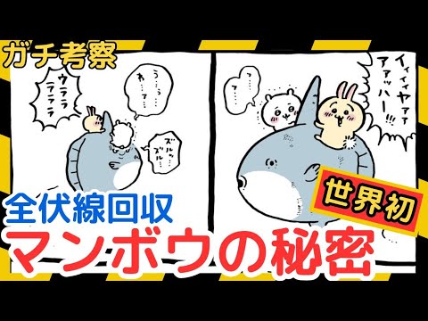 【ちいかわガチ考察】マンボウは◯◯だから乗り物にされたど…