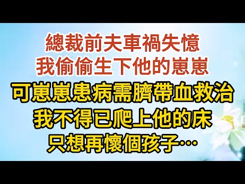 《我想離婚》第04集： 總裁前夫車禍失憶，我偷偷生下他的崽崽，可崽崽患病需臍帶血救治，我不得已爬上他的床，只想再懷個孩子……#戀愛#婚姻#情感 #愛情#甜寵#故事#小說#霸總