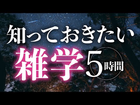 【睡眠導入】知っておきたい雑学5時間【合成音声】