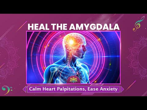 Heal The Amygdala - Calm Heart Palpitations, Ease Anxiety, Stress And Fear - Music Therapy