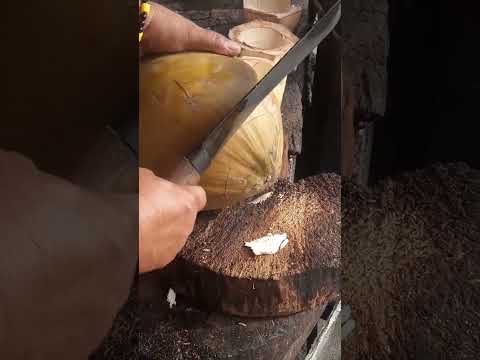 master skills for cutting coconut Asmr #satisfying #coconut #streetfood #youtubeshorts @GatchieJr33