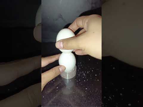 incredible egg balancing trick#youtubeshorts #experiment#science#ytshorts#kidssciencegk#tricks