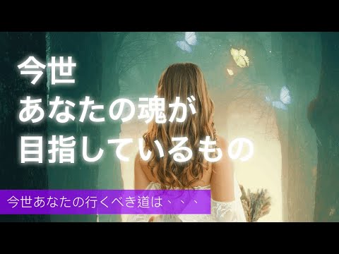 【今世あなたの魂が目指しているもの】　タロット　オラクル　リーディング　3択　直感で選んでください✨