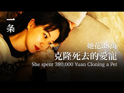 【EngSub】She spent 380,000 yuan cloning her dead pet 她花38萬克隆死去的愛寵