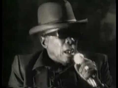 Carlos Santana & John Lee Hooker The Healer